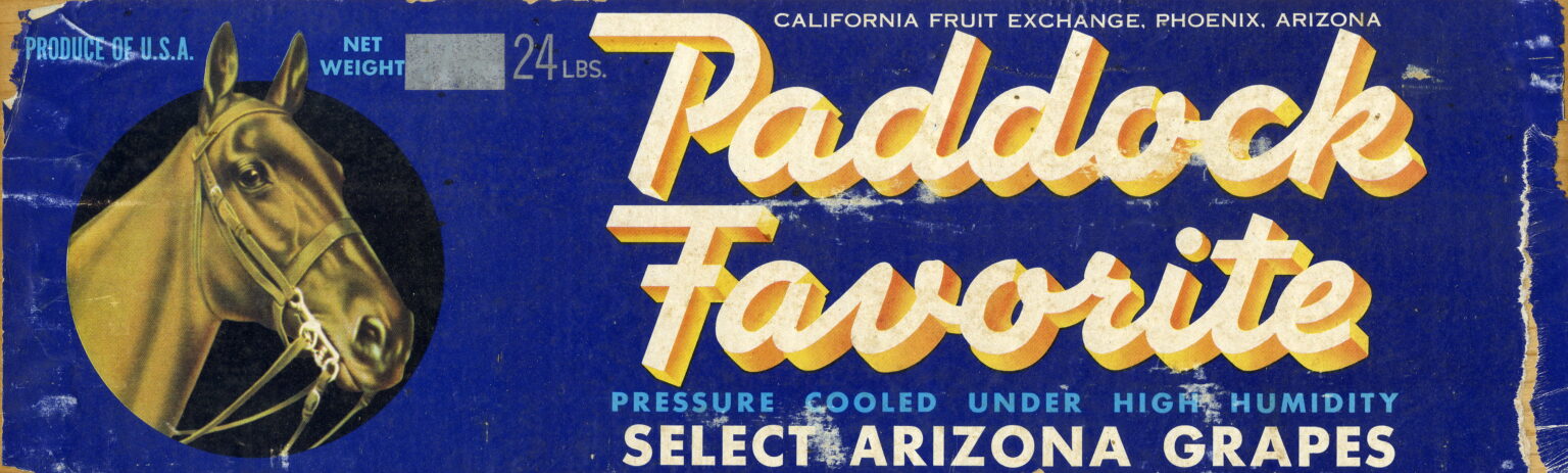 Paddock Favorite